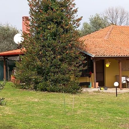 Olympos House Villa Litóchoron Ngoại thất bức ảnh